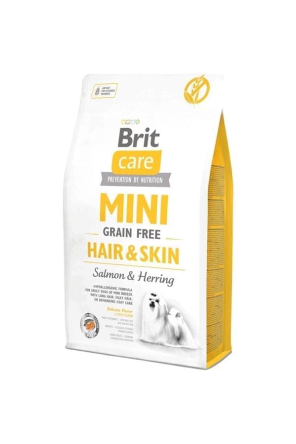 Care Tahılsız Mini Hair Skin Somonlu Köpek Maması 2 Kg - Image 1