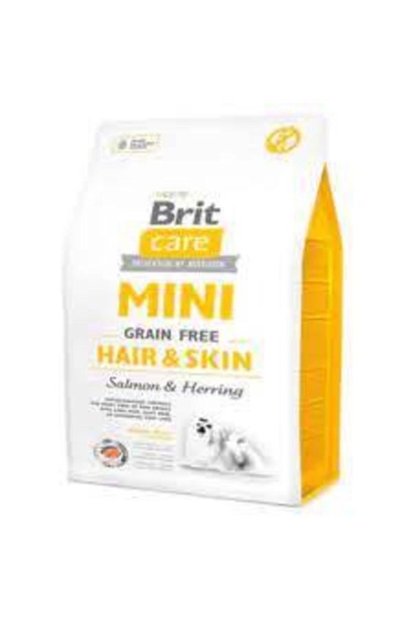 Care Tahılsız Mini Hair Skin Somonlu Köpek Maması 2 Kg - Image 1