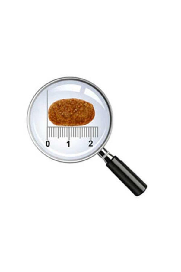 Pro Choice Proderma Lamb Kuzu Etli Köpek Maması 18 Kg - Image 1