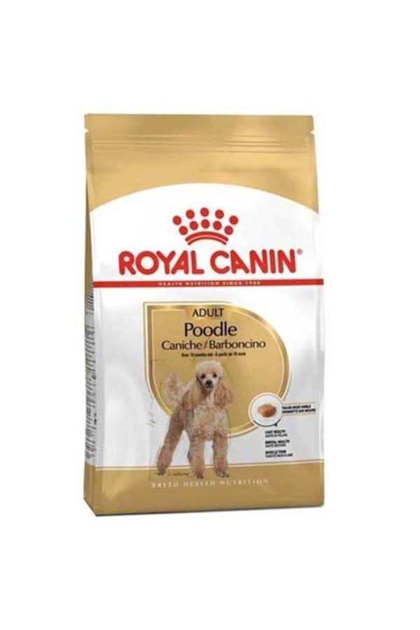 Royal Canin Poodle Adult Yetişkin Köpek Maması 3 kg - Image 1