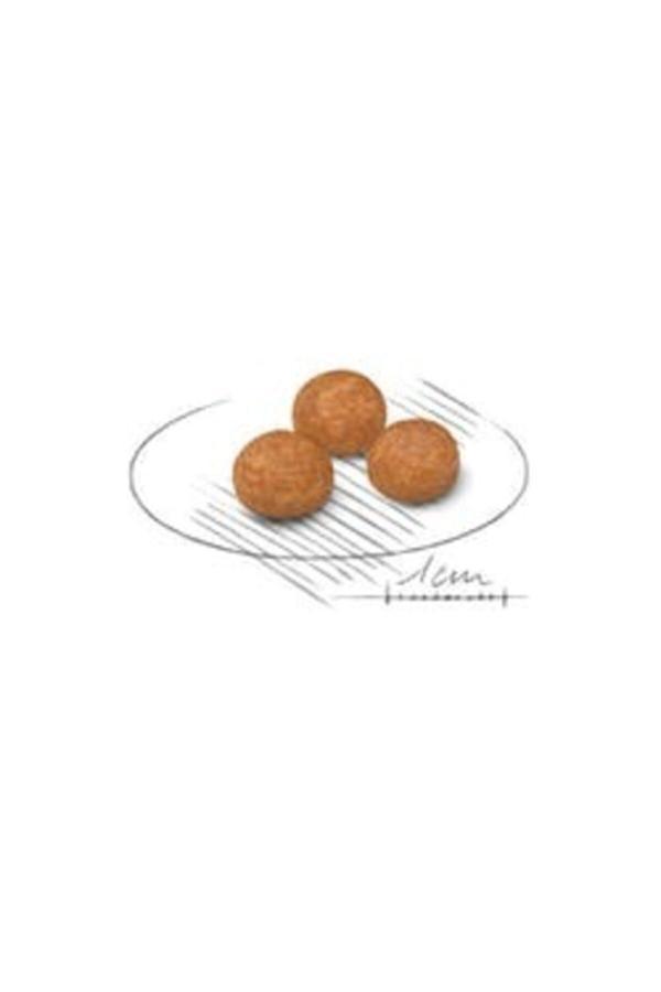 Royal Canin X-small Adult Yetişkin Köpek Maması 1,5 kg - Image 1