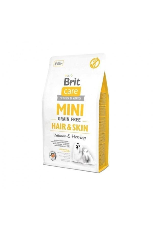 Care Tahılsız Mini Hair Skin Somonlu Köpek Maması 2 Kg - Image 1