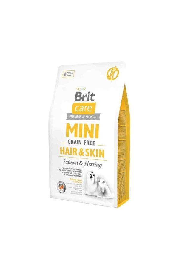 Care Tahılsız Mini Hair Skin Somonlu Köpek Maması 2 Kg - Image 1