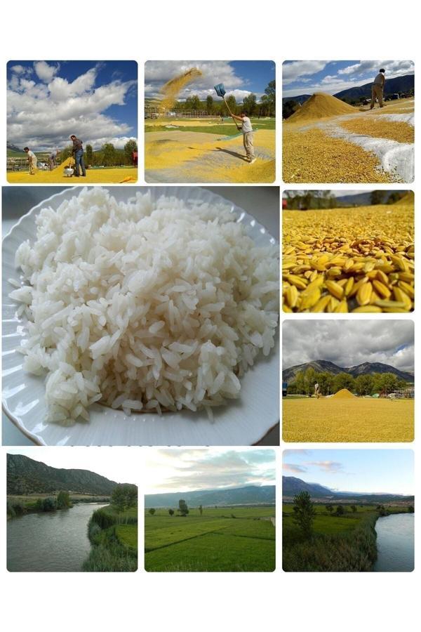 Kargı Yöresel Ürün Pazarı Kargı Osmancık Pirinci-(25 Kg) Asırlık Kızılırmak Ovamızdan Yerli Pirinç - Image 1
