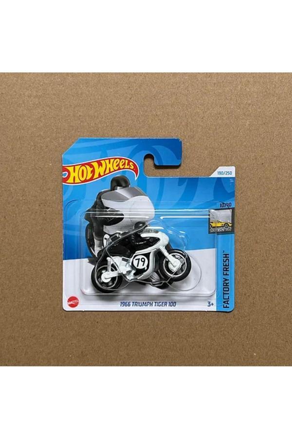 - 1966 Tiger 100 - Coi Hobi - Image 1
