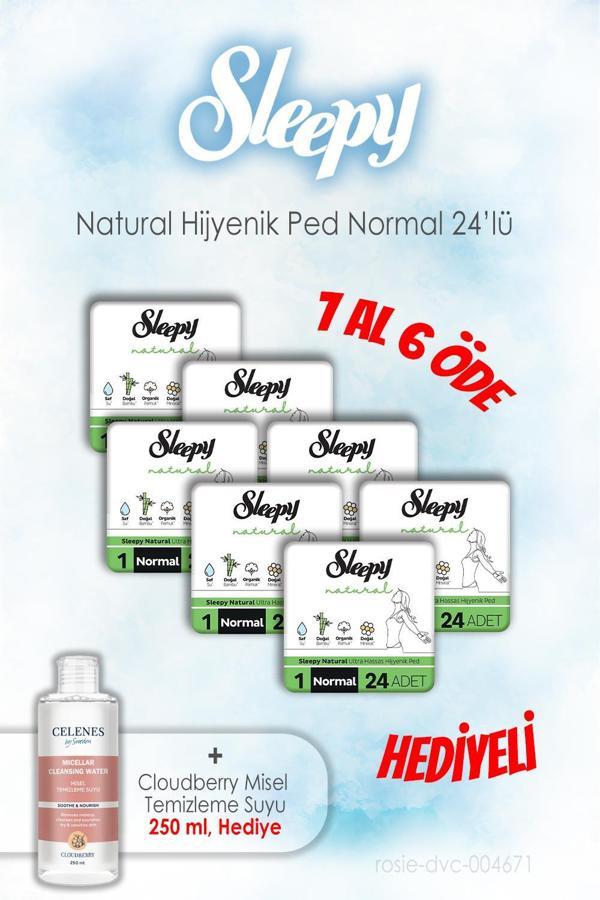 7 AL 6 ÖDE Sleepy 24'lü Natural Hijyenik Normal ve 250 ML Temizleme Suyu - Image 1