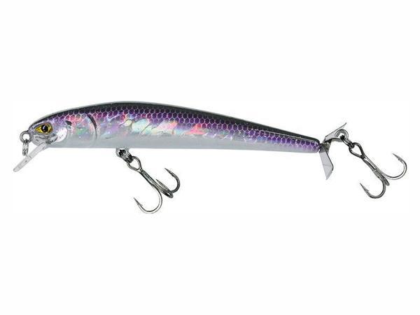 Molix PJB 95 9gr Purple Albino Holo   - Image 1