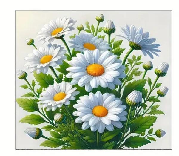 55 CM x 45 CM BEYAZ PAPATYA TASARIMI TEZGAH ÜSTÜ BULAŞIK KURUTMA MATI BULAŞIKLIK KURUTMA ÖRTÜSÜ - Image 1