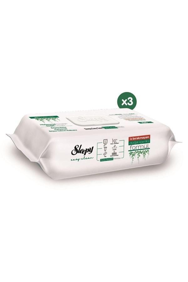 Sleepy Easy Clean Yüzey Temizlik Havlusu 3X100 (300 Yaprak) - Image 1