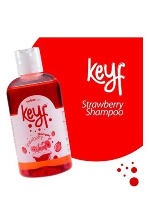Pet Love Keyf Şampuan Çilek 250 Ml - Image 1