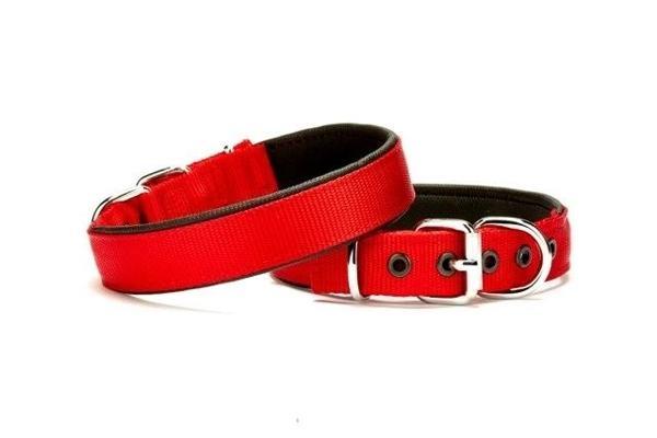 Doggie Softlu Köpek Boyun Tasması 2 cm x 40 cm Kırmızı - Image 1