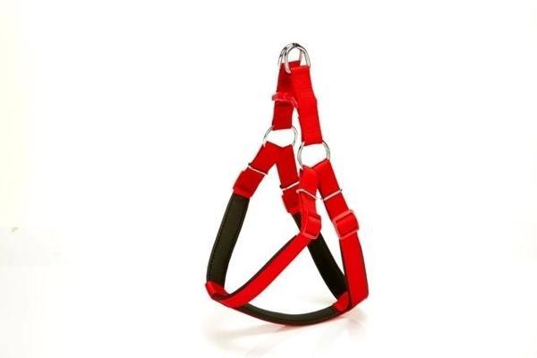 Doggie Comfort Ronin Köpek Bel Tasması 85cm X-Large Kırmızı - Image 1