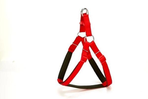 Doggie Comfort Ronin Köpek Bel Tasması 70cm Large Kırmızı - Image 1