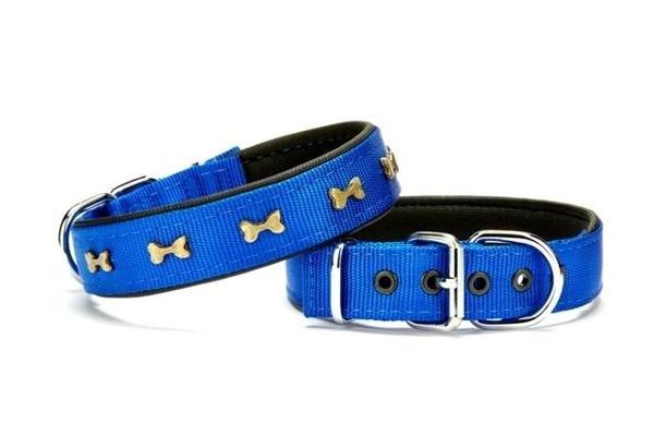 Doggie Kemik Metal Süslü Köpek Tasması 3*55 cm Medium Mavi - Image 1