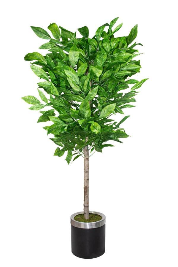 Yapay Ceviz Ağacı 180 Cm Siyah Saksılı - Image 1