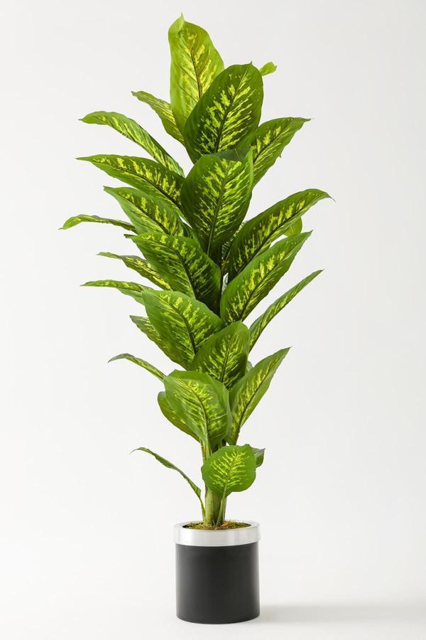 Yapay Difenbahya Ağacı 160 Cm Siyah Gümüş Saksı - Image 1