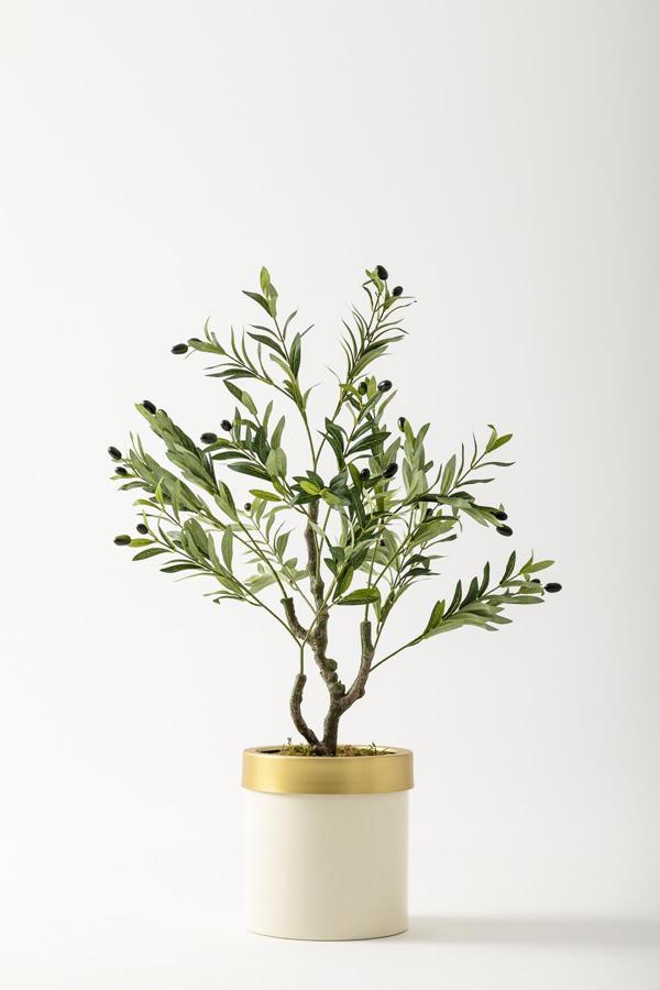 Yapay Zeytin Ağacı 85 Cm Krem Gold Metal Saksı - Image 1