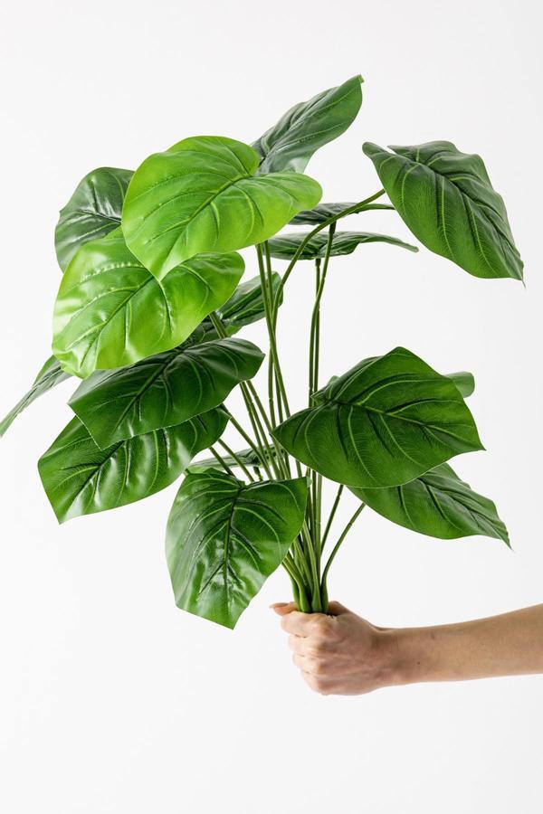 Yapay Salon Köşe Çiçeği Devetabanı Yeşil 65 Cm Saksısız - Image 1