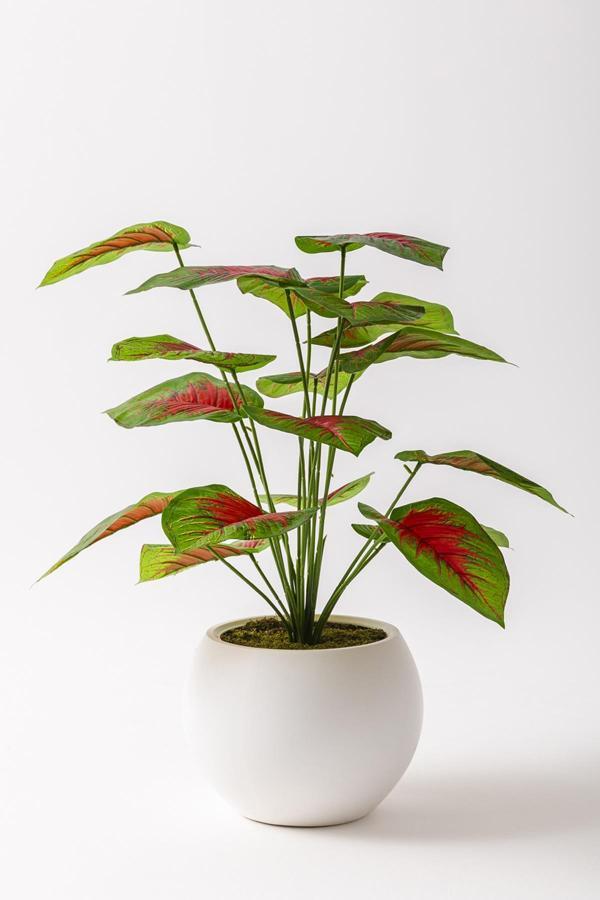 Yapay Salon Köşe Çiçeği Devetabanı Kırmızı 65 Cm Küre Saksı - Image 1