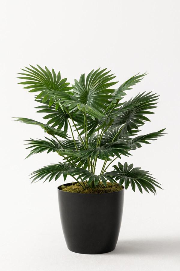 Yapay Çiçek Yelpaze Palmiye 8 Dal 50*35cm Salon Çiçeği Plastik Siyah Saksılı Yapay Bitki - Image 1