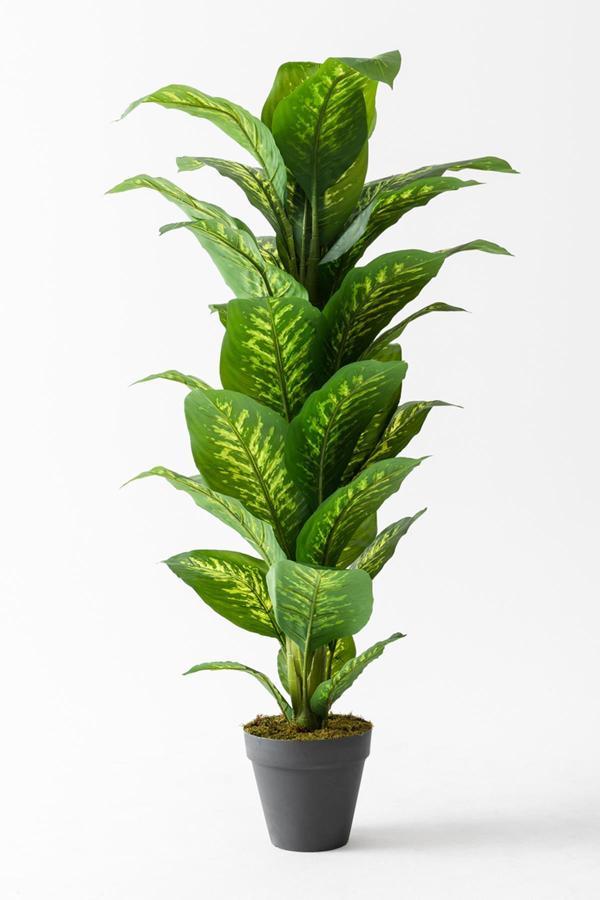 Yapay Ağaç Difenbahya 160 Cm Siyah Saksı  - Image 1