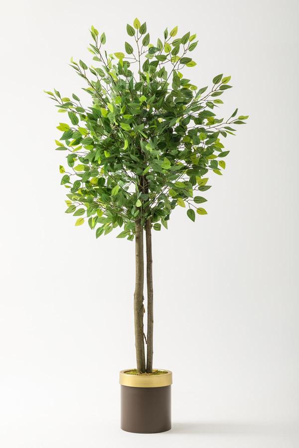Yapay Benjamin Ağacı 160 Cm Kahverengi Gold Metal Saksı - Image 1