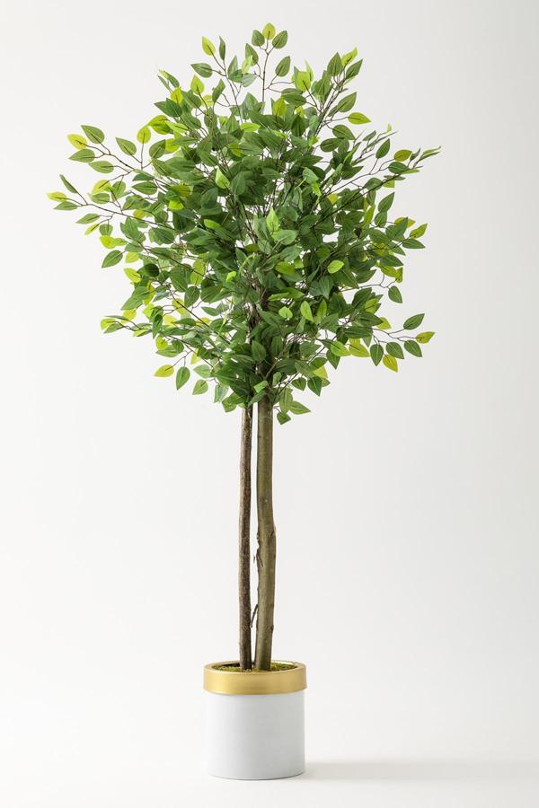 Yapay Benjamin Ağacı 160 Cm Beyaz Gold Metal Saksı - Image 1