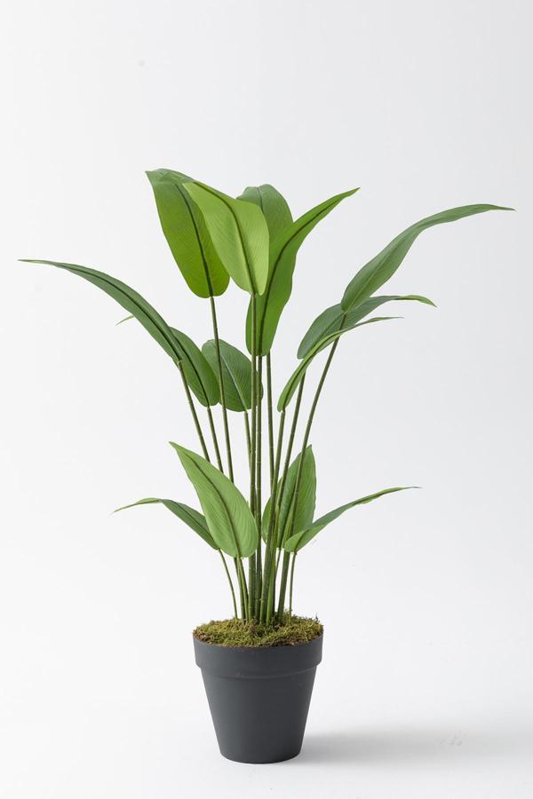 Yapay Starliçe Ağacı 120 Cm Plastik Saksı - Image 1