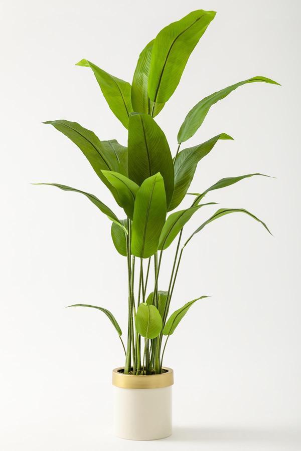 Yapay Starliçe Ağacı 160 Cm Krem Gold Metal Saksı - Image 1