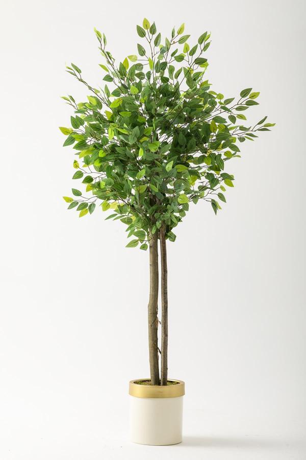 Yapay Benjamin Ağacı 160 Cm Krem Gold Metal Saksı - Image 1