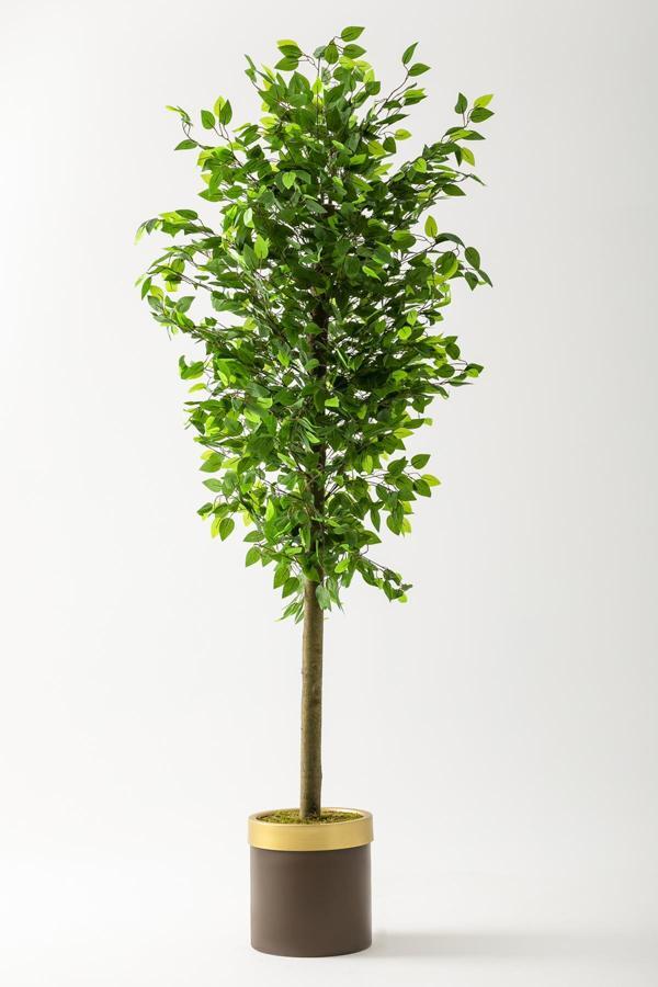Yapay Benjamin Ağacı 180 Cm Kahverengi Gold Metal Saksı - Image 1