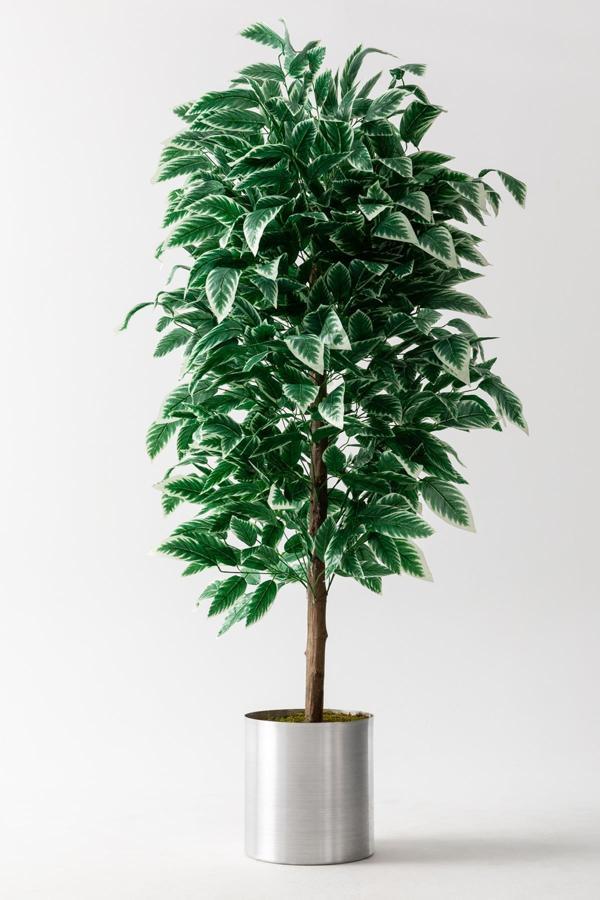 Yapay Ceviz Ağacı Beyaz 180 Cm - Image 1