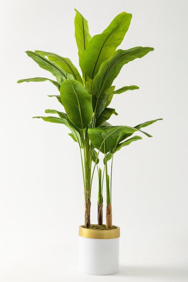 Yapay Muz Ağacı 180 Cm Beyaz Gold Metal Saksı - Image 1