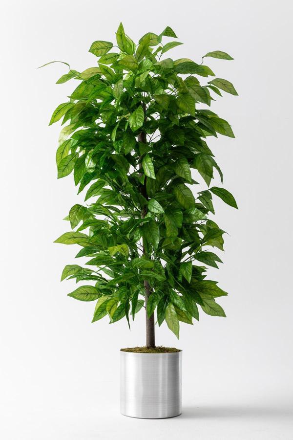 Yapay Ceviz Ağacı 200 Cm - Image 1