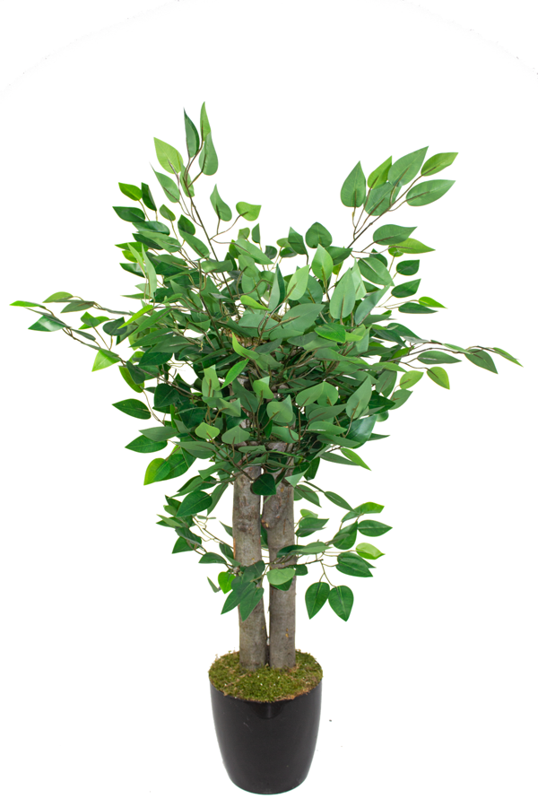 Yapay Benjamin Ağacı 110 Cm - Image 1