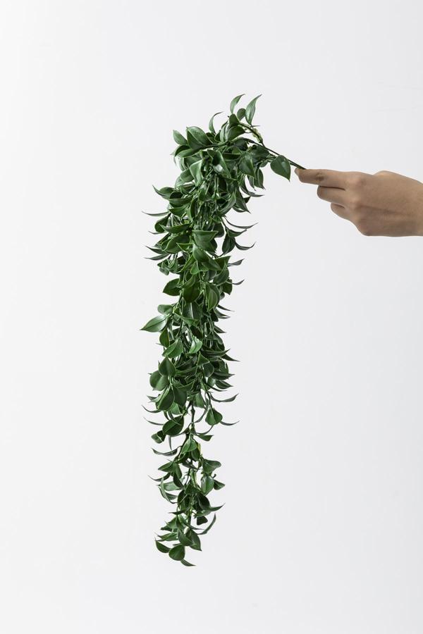 Yapay Sarmaşık Çay Uv Korumalı Koyu Yeşil 75 Cm 5 Dal - Image 1