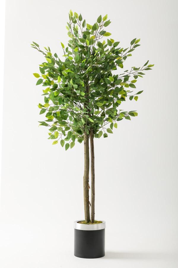 Yapay Benjamin Ağacı 160 Cm Siyah Gümüş Metal Saksı - Image 1