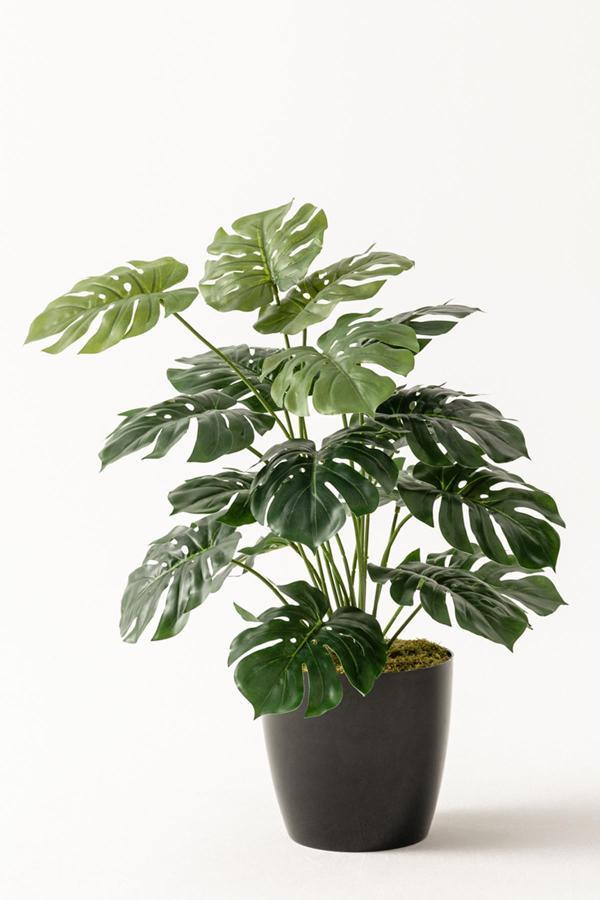 Yapay Salon Köşe Çiçeği 65 Cm Devetabanı - Image 1