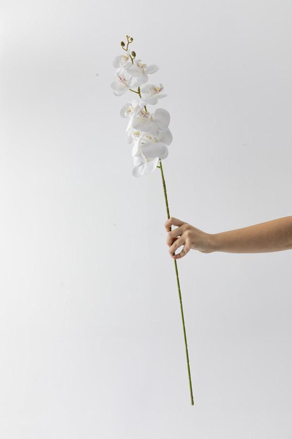 Yapay Islak Orkide Çiçeği Beyaz Tek Da - Image 1