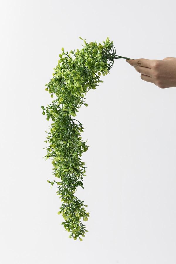 Yapay Sarmaşık Şimşir Uv Korumalı 75 Cm 5 Dal - Image 1
