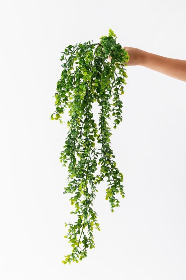 Yapay Okaliptus Sarmaşık 80 Cm 5 Dal - Image 1