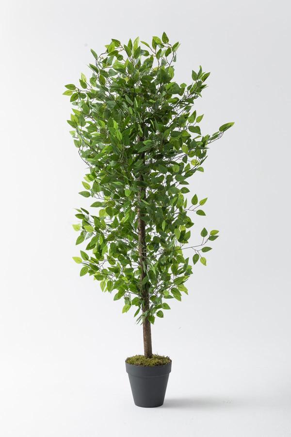 Yapay Benjamin Ağacı 180 Cm 108 Dal - Image 1