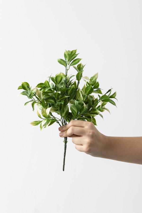 Yapay Limon Yaprağı Demeti Yeşil Krem 30 Cm 7 Dal(Uv) - Image 1