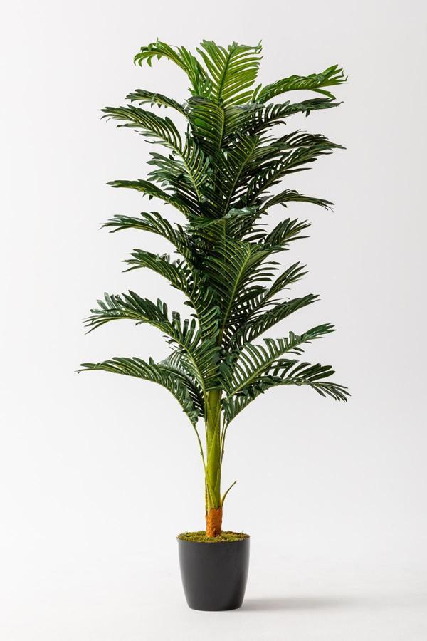 Yapay Ağaç Areka 150 Cm 32 Yaprak - Image 1