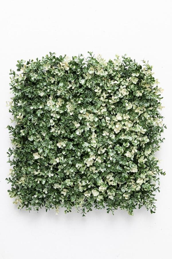 Yapay Duvar Paneli Uv Korumalı Okaliptus 50*50 - Image 1