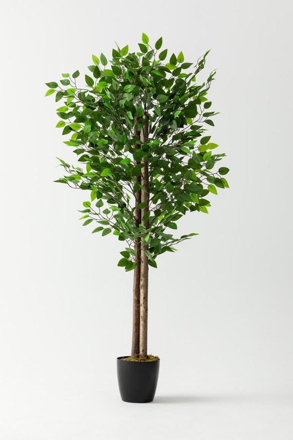 Yapay Benjamin Ağacı 160 Cm - Image 1