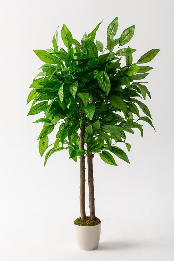 Yapay Salon Köşe Çiçeği 160 Cm Ceviz Ağacı - Image 1