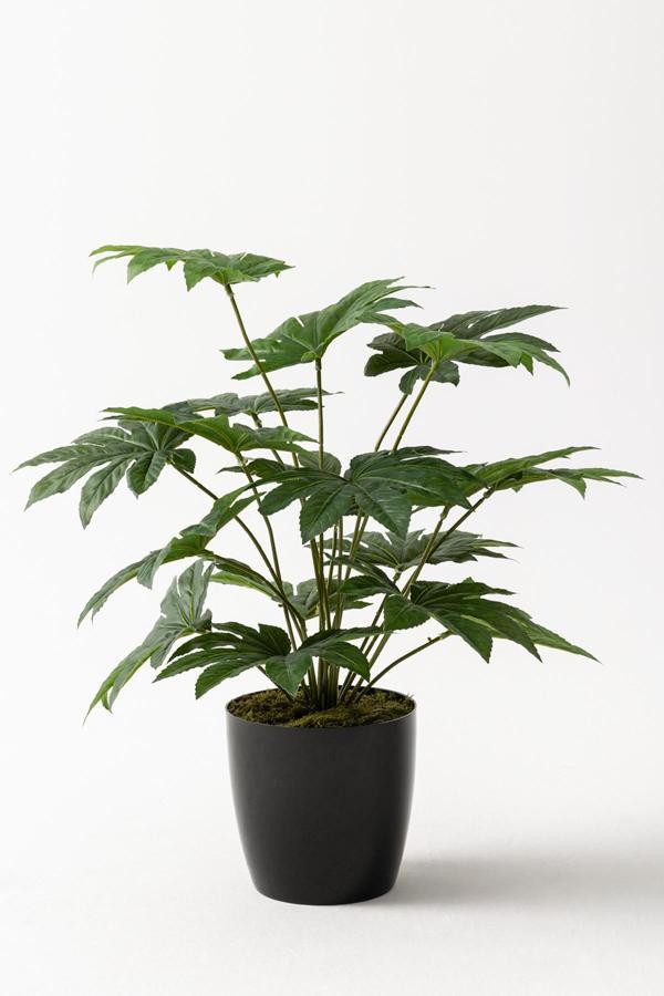Yapay Salon Köşe Çiçeği Japon Çınar 80 Cm - Image 1