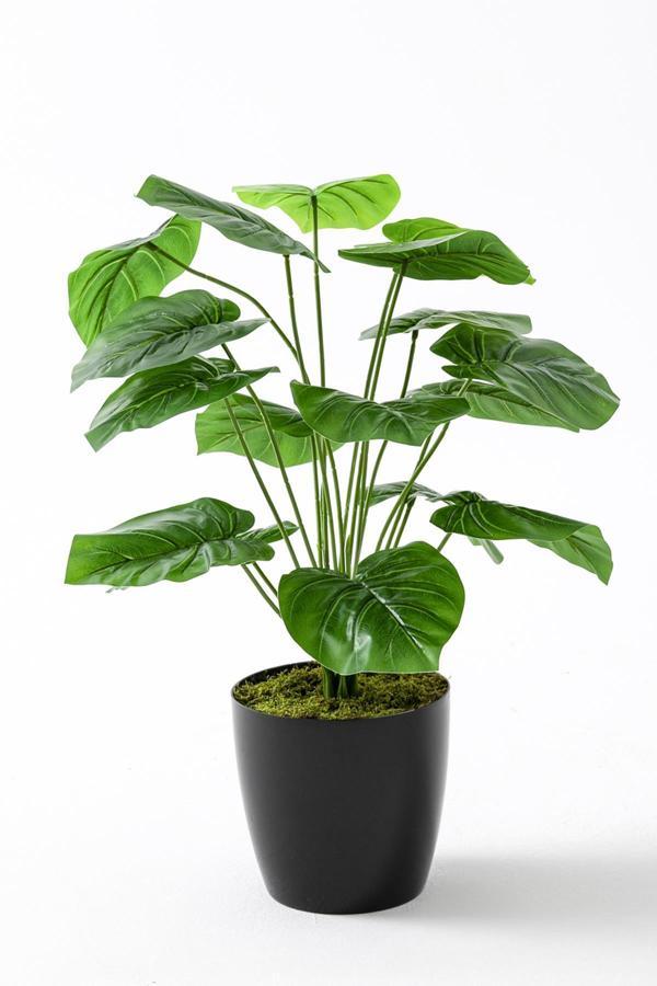 Yapay Salon Köşe Çiçeği Devetabanı Yeşil 65 Cm - Image 1