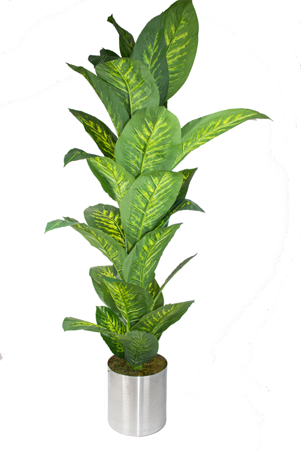 Yapay Ağaç Difenbahya 160 Cm - Image 1